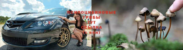 прущая мука Куйбышев